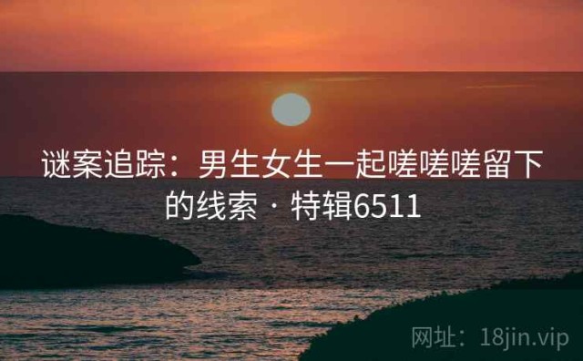 谜案追踪：男生女生一起嗟嗟嗟留下的线索 · 特辑6511