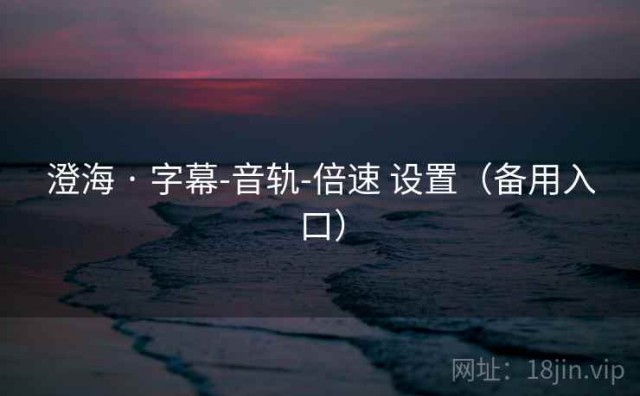 澄海 · 字幕-音轨-倍速 设置（备用入口）