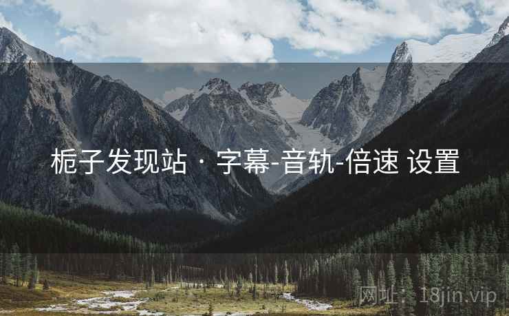栀子发现站 · 字幕-音轨-倍速 设置