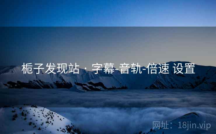 栀子发现站 · 字幕-音轨-倍速 设置