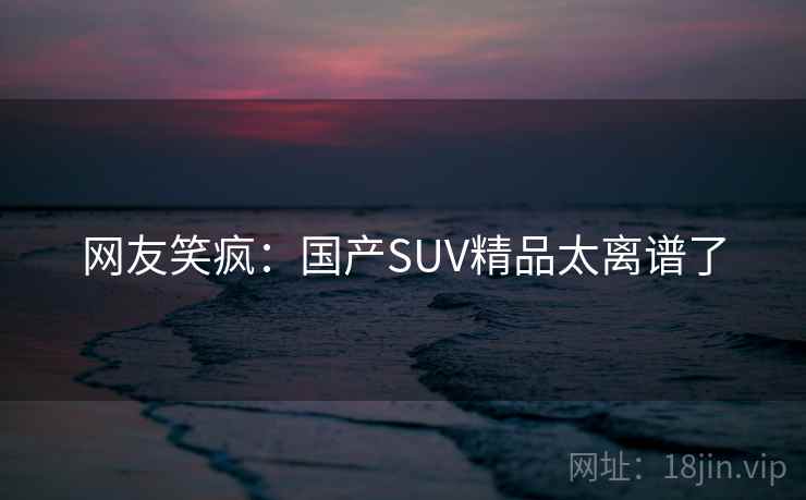 网友笑疯:国产SUV精品太离谱了 网友笑疯:国产SUV精品太离谱了